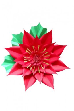 Molde de flor de Pascua para Navidad
