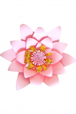 Moldes de pétalos para realizar Flor de Papel Elli