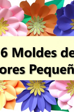 Moldes de 6 Flores Pequeñas