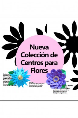 Molde de Colección de Centros 2 para descargar Gratis