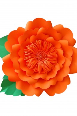 Molde de flor Sofia para descargar Gratis