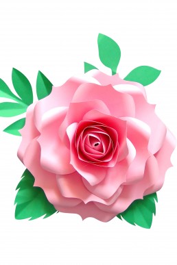 Molde de Rosa Linda Rosada para descargar Gratis