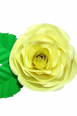 Molde de Rosa Amarilla Mediana para descargar Gratis