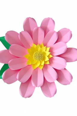 Molde de flor Albania para descargar Gratis