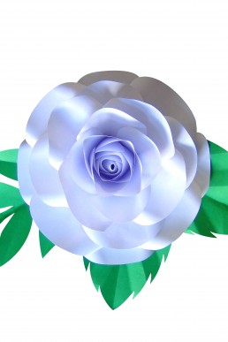 Molde de Rosita para descargar Gratis