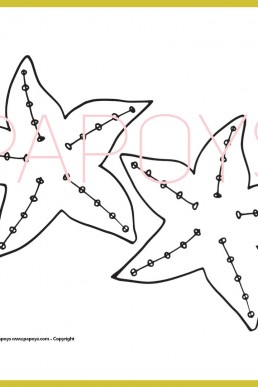 Starfish drawing for free download