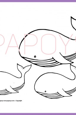 WHALE FAMILY drawing for free download