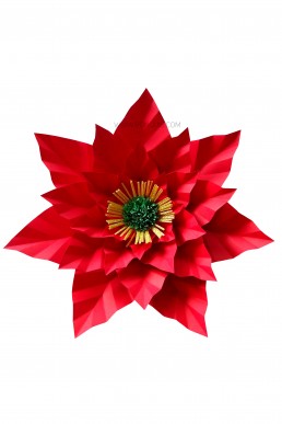 Moldes de Flor Nochebuena para Descargar Gratis en Pdf
